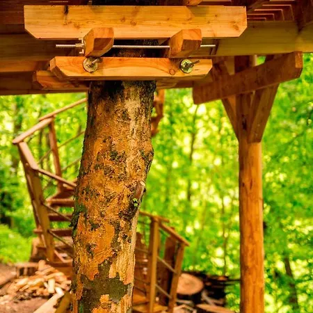 Treehouse Pod Jestedem אכסניה