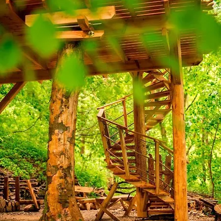 Treehouse Pod Jestedem Lodge *