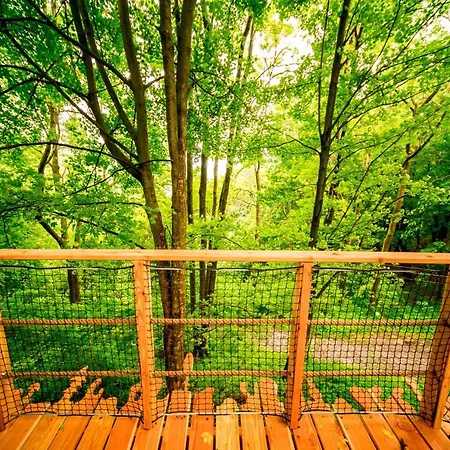 אכסניה Treehouse Pod Jestedem