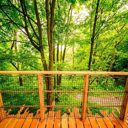 Lodge Treehouse Pod Jestedem